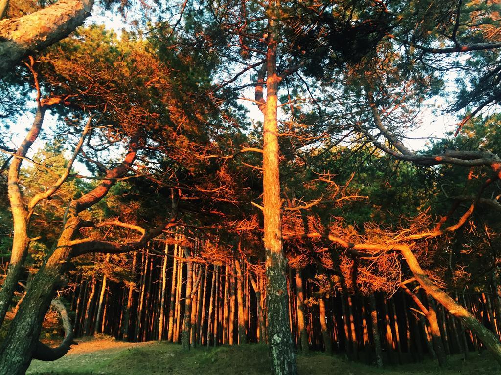 팔랑가 Juros Brizas 아파트 외부 사진